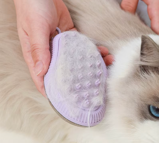 Cepillo Baño Multiusos Silicona Mascotas