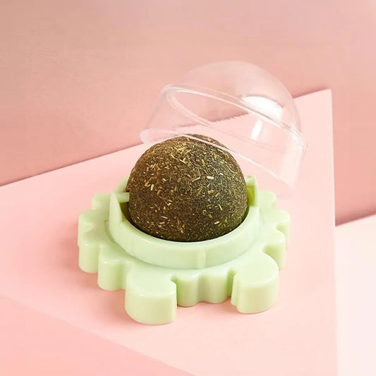 Juguete para gatos Catnip autoadhesivo