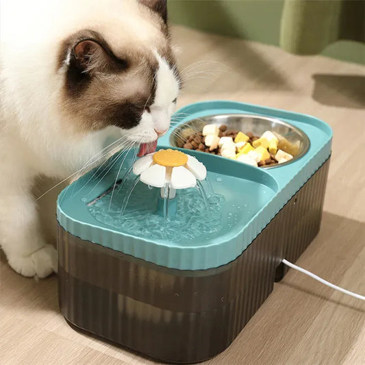 Comedero doble con fuente de agua