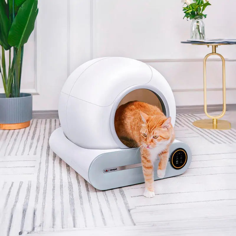 Arenero Automático para Gatos