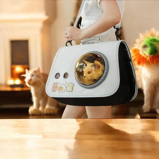 Maleta Transportadora