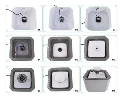 Fuente de Agua mascota