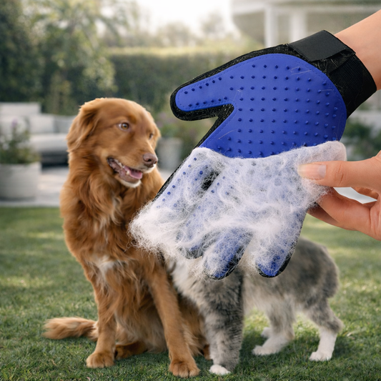 Guante Quita Pelo Y Masajeador